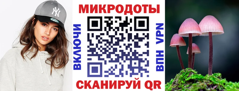Псилоцибиновые грибы MAGIC MUSHROOMS  купить наркоту  Вышний Волочёк 